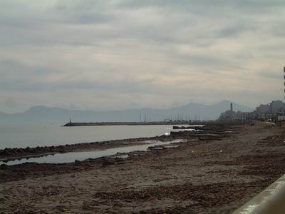 DSCF0026.JPG